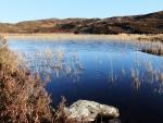 Dock Tarn.