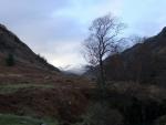 Lower Langstrath valley.
