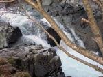 Langstrath Beck.