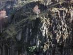 Rockface below Sergeant's Crag.