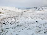Seatallan top left.
