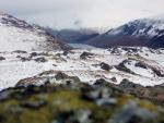From Buckbarrow.