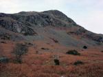 Buckbarrow profile.