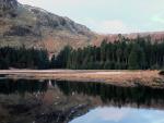 Tarn Crag reflection.