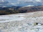 High Stile gro  up left of centre skyline.