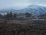 Looking back to the edge of the forest and Fisher Crag.