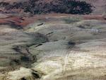 Far below sheep gathering on Wythop Moss.