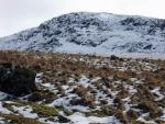 Out of the wind at last. Looking back towards Brown Crag.