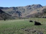 High Hartsop Dodd walk.