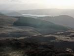 Swinburn  Park forestry plantation . The eastern end of Ullswater in the distance.