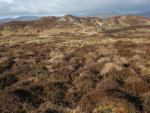 Looking back to the rocky top of Gowbarrow Fell.