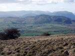 Gowbarrow Fell in the mid distance.