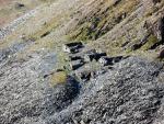 Abandoned quarry buildings above the tarn.