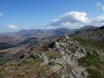 White Pike.