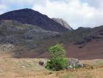 Torver High Common with Buck Pike and Dow Pike on the horizon.