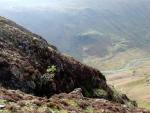 Langstrath below.