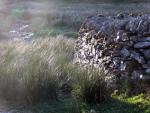 Tarn Crag walk.