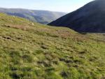 A glimpse of Mardale.