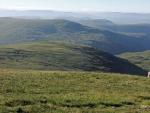 Looking towards Tarn Crag.