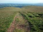 From Loadpot Hill the descending path to Arthur's Pike on the right.  Bonscale Pike on the left.