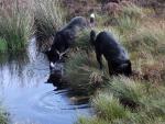 ...... Playing by the water........