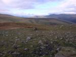 From Bowscale Fell summit.