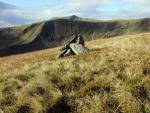 Cairn on The Tongue with the east ridge of Bannerdale Crags behind.