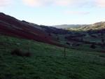 Looking back down the dale.