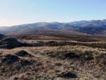 From High Seat looking towards High Tove.