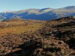 From Armboth Fell.