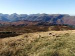 From High Seat.