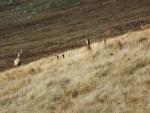 Mardale walk.