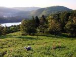 Loughrigg rising above Grasmere.