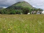 Helm Crag.