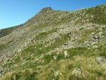 The summit rocks of Dollywagon Pike above .