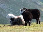 Helvellyn walk.