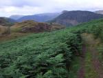 Walking south along the ridge towards Wren Crag.