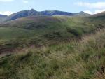Catstycam walk.