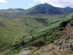 Catstycam.