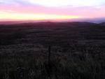 Dawn, Shap Fell.