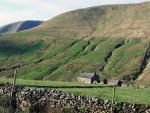 Mountain View Farm.