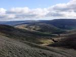 Mallerstang Edge on the horizon.