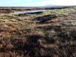 Emerging onto the moorland with Great Rundale Tarn ahead.