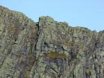 Sharp Edge, close up.