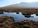 And looking back to Blencathra.