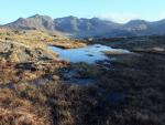Scafells from Border End.