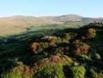  Buckbarrow, Plough Fell and Whitfell from Pen.