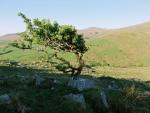 Buckbarrow from the slopes below The Pike.