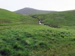 Looking back up the gill.