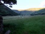 Swindale.